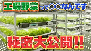 「味も鮮度も一級品！シェフが選んだ野菜のヒミツは大和ハウス工業の先進技術にあり」