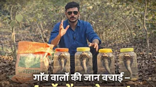 एक ही स्थान पर चार सांप कैसे मिले !😲🐍 #viralvideo #snake 