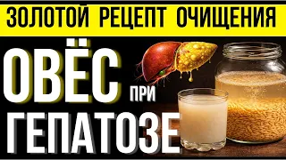Овес восстановит печень при гепатозе, если заваривать его ТАК! Схема приема