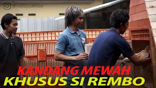 KANDANG AYAM KHUSUS SI REMBO l KANDANG MODERN UNTUK AYAM PELIHARAAN DIRUMAH
