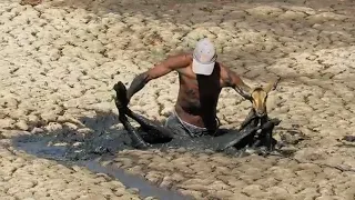 Incredible Animal Rescue Moments | Best Animal Rescue Videos