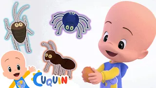 ¡Huevos Sorpresa! Aprende los bichos e insectos con Cuquín | Dibujos animados para bebés
