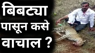 बिबट्या ने हल्ला केला तर हे करा,जीव वाचेल।leopard Attack precaution।Achanak Bibtya Ala।Bibtya wagh