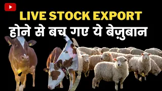 You saved their Life ❤️, Live Stock Bill Withdrawn | #life