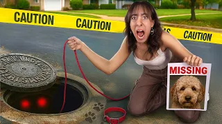 My dog fell down the sewer!
