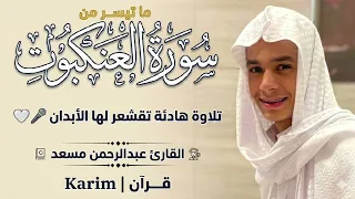 تلاوة خاشعة لما تيسر من سورة العنكبوت - عبدالرحمن مسعد | 𝐊𝐚𝐫𝐢𝐦 | قرآن 