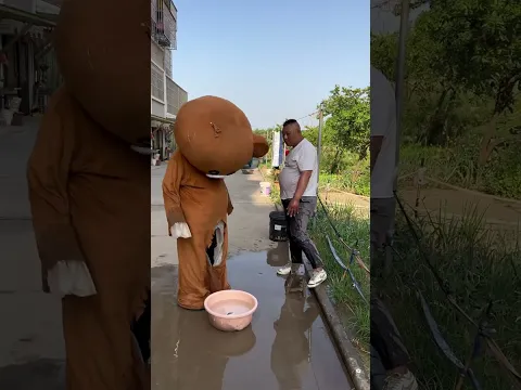 What watermelon do you eat on a hot day, Pippi Bear Funny video