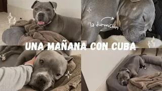 Cuba y Su Rutina Mañanera
