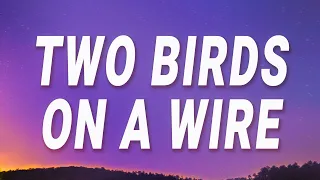 Regina Spektor - Two Birds On a Wire (Lyrics)