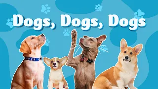Dogs Dogs Dogs by Oxbridge Baby
