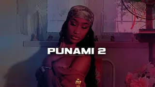 "Punami 2" 🌊 Dancehall Shatta Riddim Instrumental