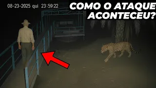 Veja tudo que aconteceu no ataque de onça contra Jorge