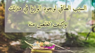 السبب الطاقي لوجود الوزغ 🦎( ابو بريص) وكيف تنفره من منزلك