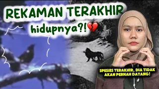 REKAMAN/DOKUMENTASI TERAKHIR HEWAN YANG UDAH PUNAH?!!😱💔 || diluarlaut