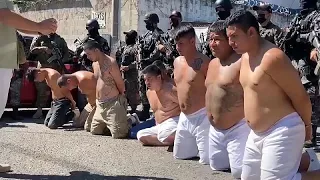 Golpe a la Mara Salvatrucha en El Salvador