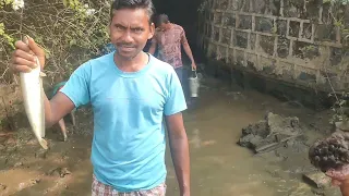 ପ ଣ୍ଡ ରା ପ ଲା ସାଇପନ ରେ ମାଛ ଧରା ଭିଡିଓ