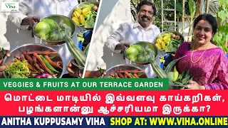 மொட்டை மாடியில் இவ்வளவு  காய்கறிகள், பழங்கள் இருக்கா? | Anitha  Kuppusamy Terrace Garden Vlog