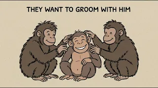 Why Did Our Ancestors Stop Growing Fur?