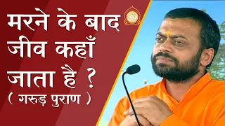 मरने के बाद जीव कहाँ जाता है ? (गरुड़ पुराण) | Where does the being go after death? | Sureshanandji
