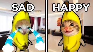 The Only Banana Cat Compilation You Need 😺