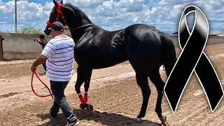 Carrera Millonaria | Gran Final Maturity Don Tello Velazquez
