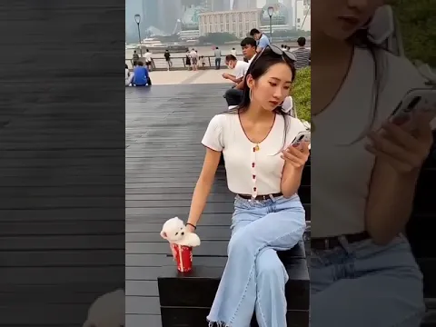 Cute. A beautiful moment #7028 - #short,#dog,#cute