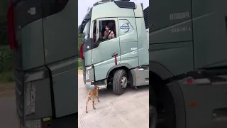 Very good female driver - Kĩ năng lái đầu kéo quá đỉnh của nữ tài xế #truck #truckdriver #nutaixe