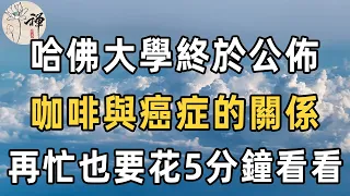 喝咖啡的人必看！長期喝咖啡，是養身還是傷身？美國哈佛大學公佈最新研究：喝咖啡時千萬別碰它，否則會誘癌上身！愛喝咖啡的人要注意了 |佛禪