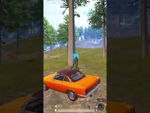 CHICKEN DINNER WITH DRIFT
