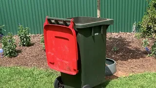BIN TRICKSHOTS!!!