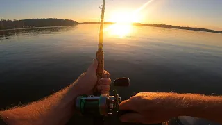 Never Lost So Many fish!!