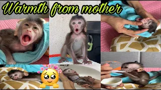 Monkeys happy to have their mother nearby