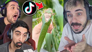ΚΡΑΖΟΥΝ ΤΑ ΚΑΛΥΤΕΡΑ TIKTOK ΤΟΥ 2022