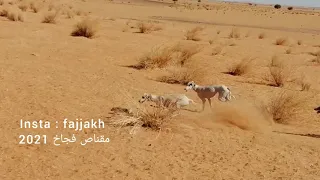 مطراد دم ونحله وكحله