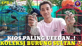 GILA...! BUKAN KALENG2 TAPI SUPER MEWAH BURUNG DI TEMPAT MAS EDIE JOVANIS, EPS 1