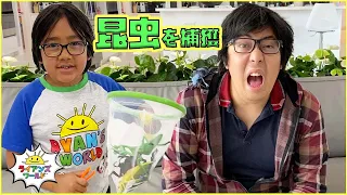 昆虫について学ぼう🐛