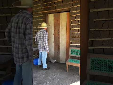 campesino  sale a trabajar y su mujer mete otro hombre a la casa. #campesinos #amor #historias