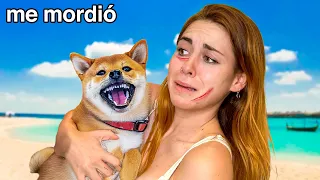 Mi perro me ha mordido en la cara...