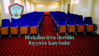 Beeksisa irra deebiin foyya'ee kan bahe