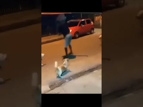 Señor Vs 3 PERROS 🐶 #apoyoplis#1vs3#perros#elpersonajedelasemana#shorts#señor