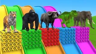 Paint&Animals ,Tiger,Gorilla,Cow,Dinosaur,Elephant, Hamster Fountain Crossing Animal Cartoon