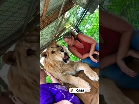 Lion 🦁 care Home 🏡 Care || Jeetpuria Janab