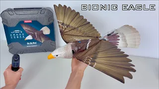 Bionic EAGLE with GPS FC | Unboxing, Assembly and First Flights | Go Go Bird Eagle 1050