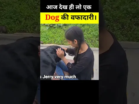 DOG 🐕 कितने  बफादार होते हैं आज देख ही लो 😰। #short #shortyoutube #DOG #dogstory  #emotionalstory.