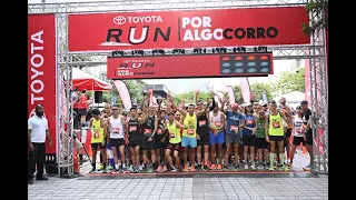 TOYOTA RUN 2023