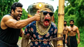 Bandar bhai ka lafra ho gaya re | Top 30 Monkey Viral Videos | Funny Monkey video | @BandarApnaDost
