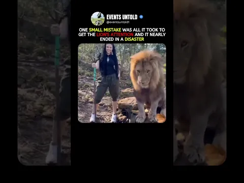 One Small Mistake Got This Lion's Attention #animals #shorts