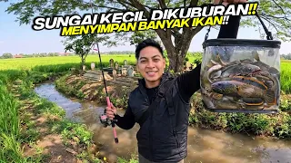 MANCING DI SUNGAI SAMPING KUBURAN TENGAH SAWAH!! Ternyata ada banyak ikannya