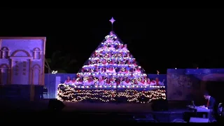 The Cayman Singing Christmas Tree 2021 Online Experience
