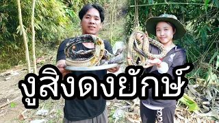 เมนูพิสดารต้มงูสิงดงยักษ์[ອາຄານ້ອຍ]